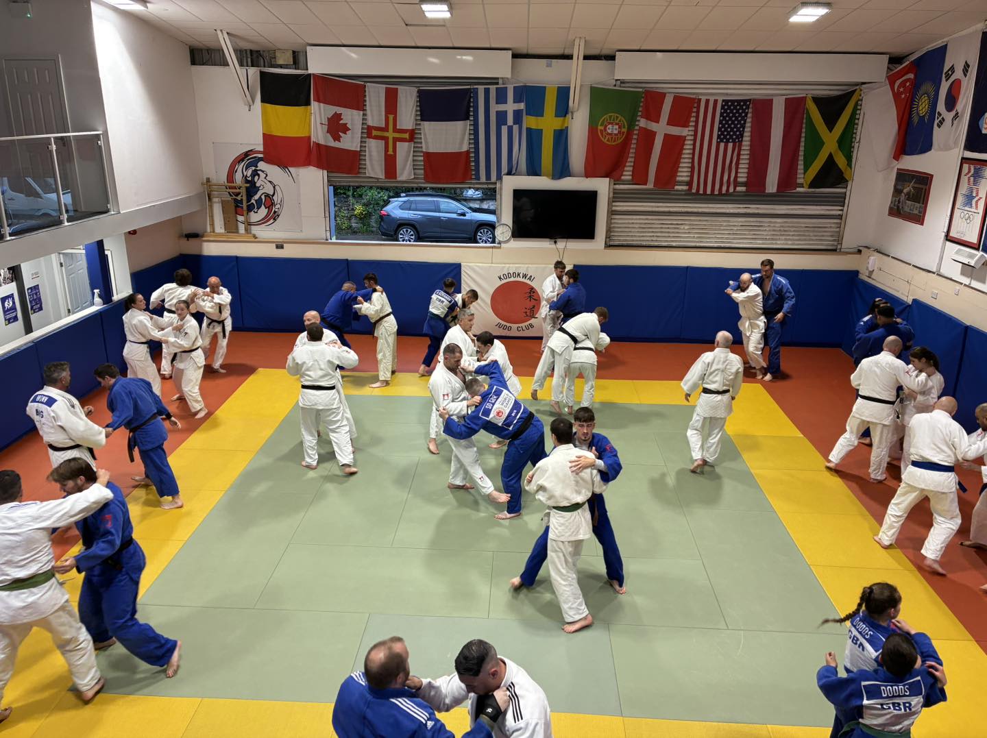 Judo action shot 1
