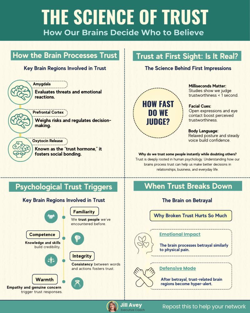 Infographic titled "The Science of Trust: How Our Brains Decide Who to Believe," explaining the brain processes, first impressions, psychological triggers, and the impact of broken trust. Created by Jill Avey, Executive Coach.