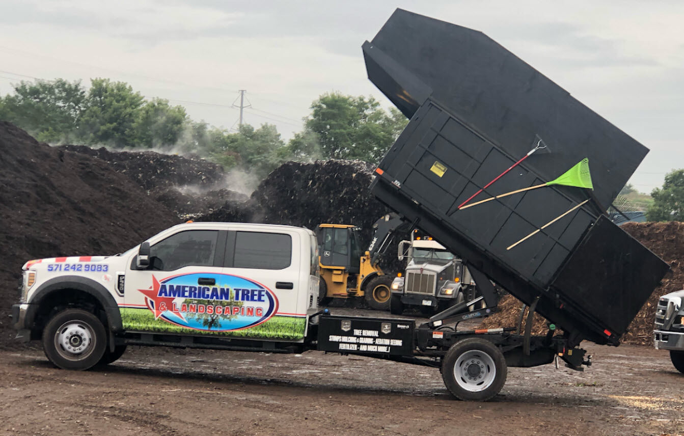 Truck / Tree Removal Georgia