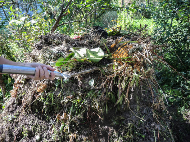 How Scrap Squad Handles Yard Waste/Brush Removal