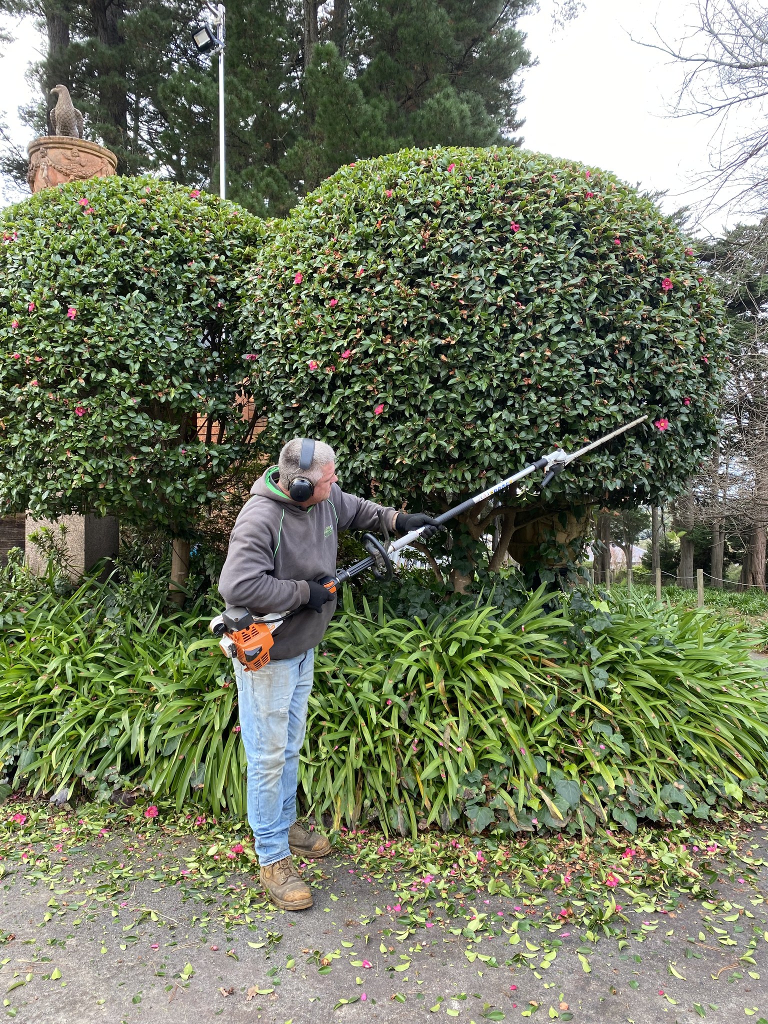 Garden and Property Clean up Services in Leongatha, Victoria