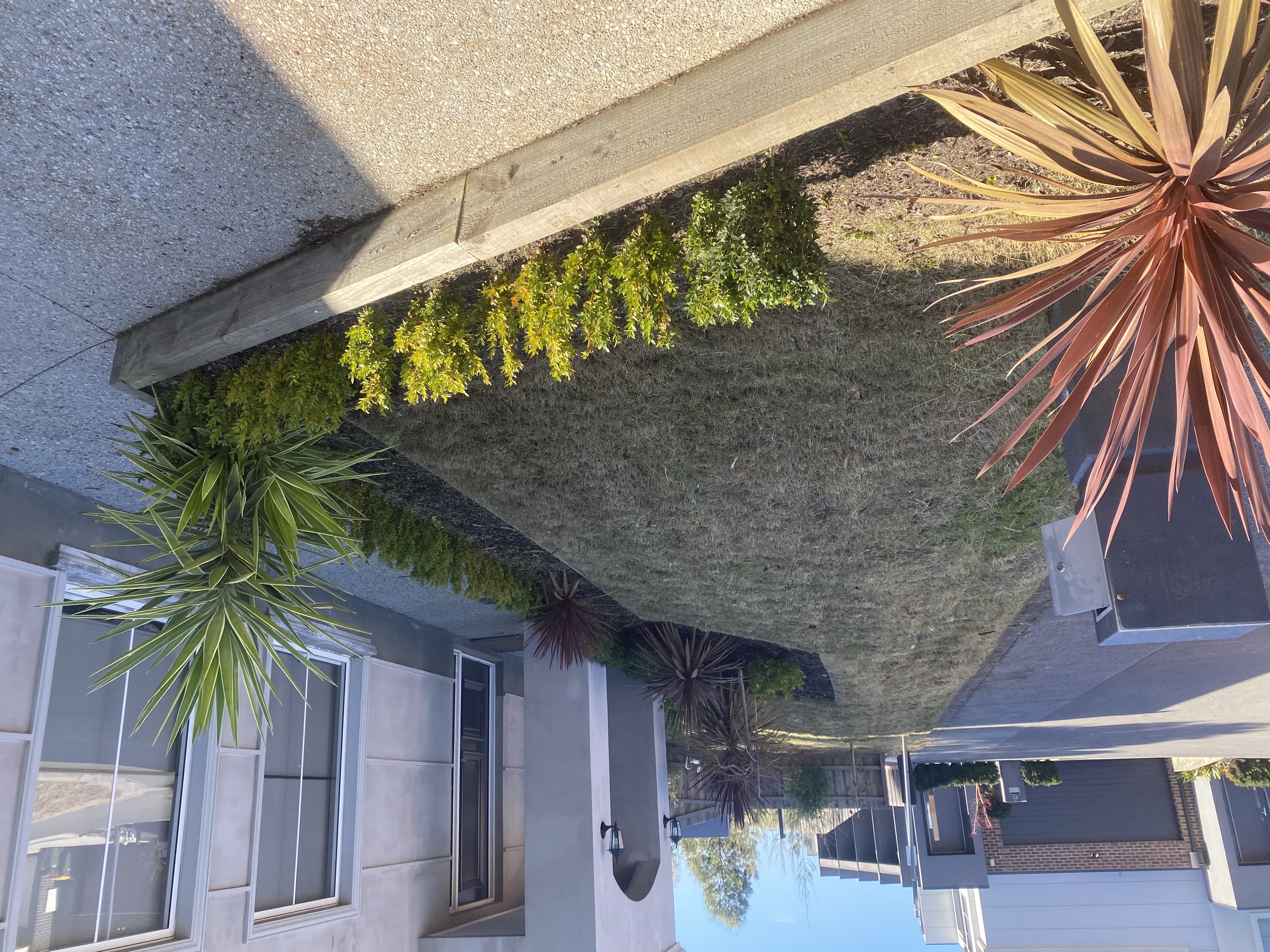 Garden and property clean-up in Leongatha, Victoria