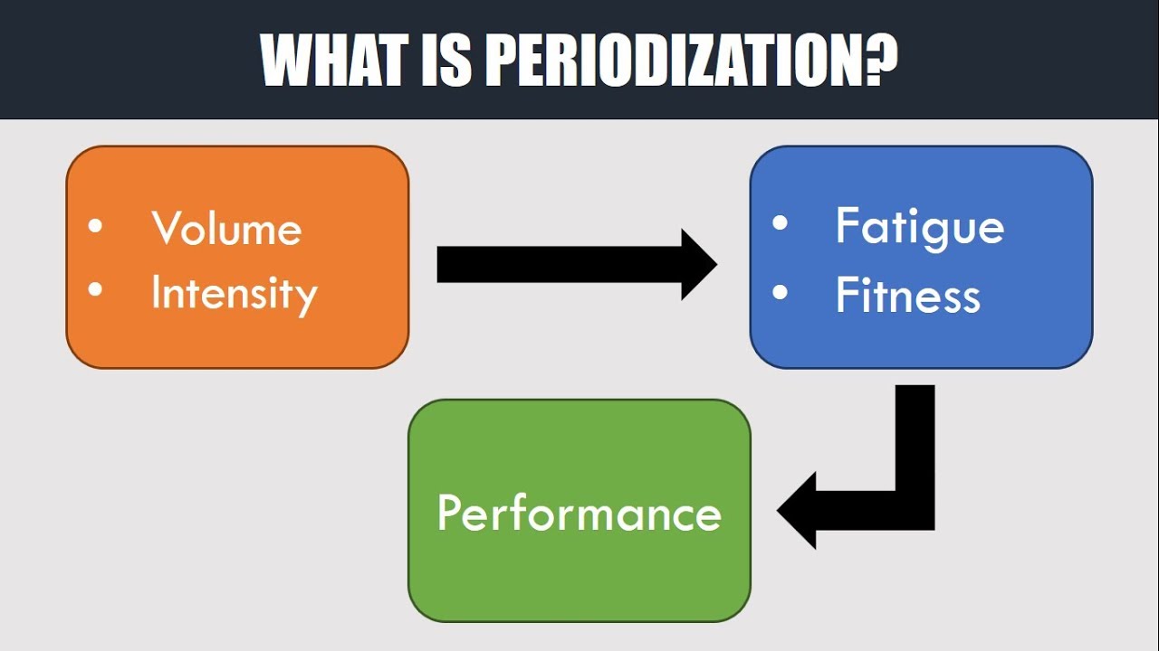 Periodization 101: How Elite Athletes Structure Their Year