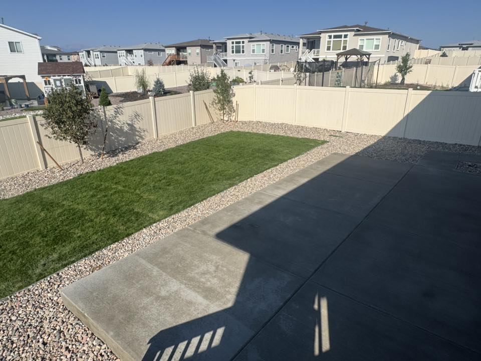 new grass lawn