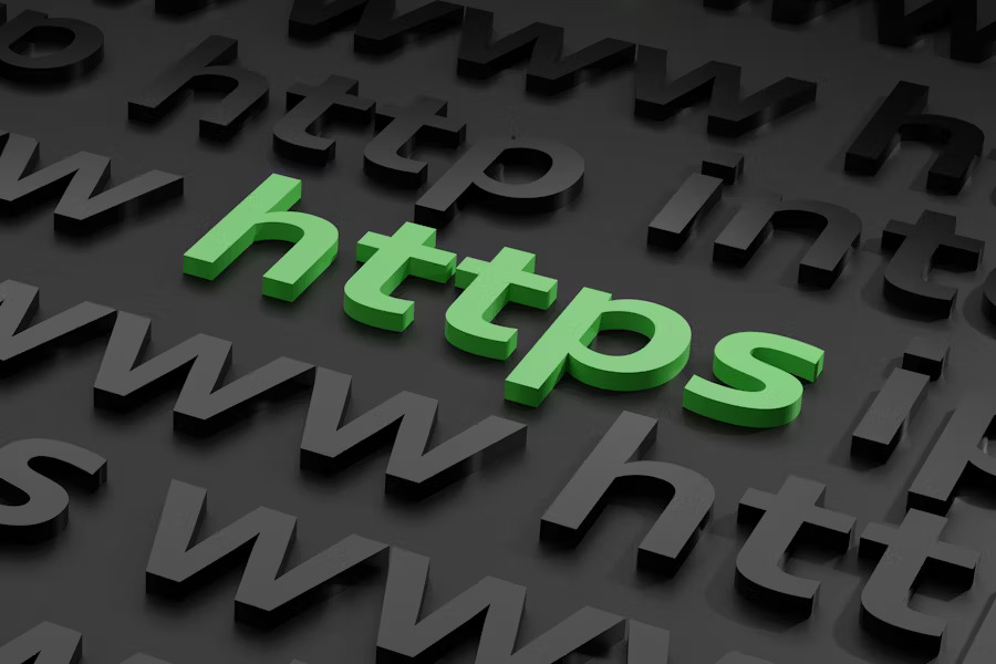 web hosting web hosting