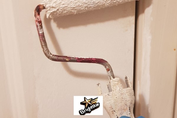 Painting doors with roller Painting doors with roller
