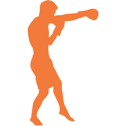 Duane Ludwig Fighter