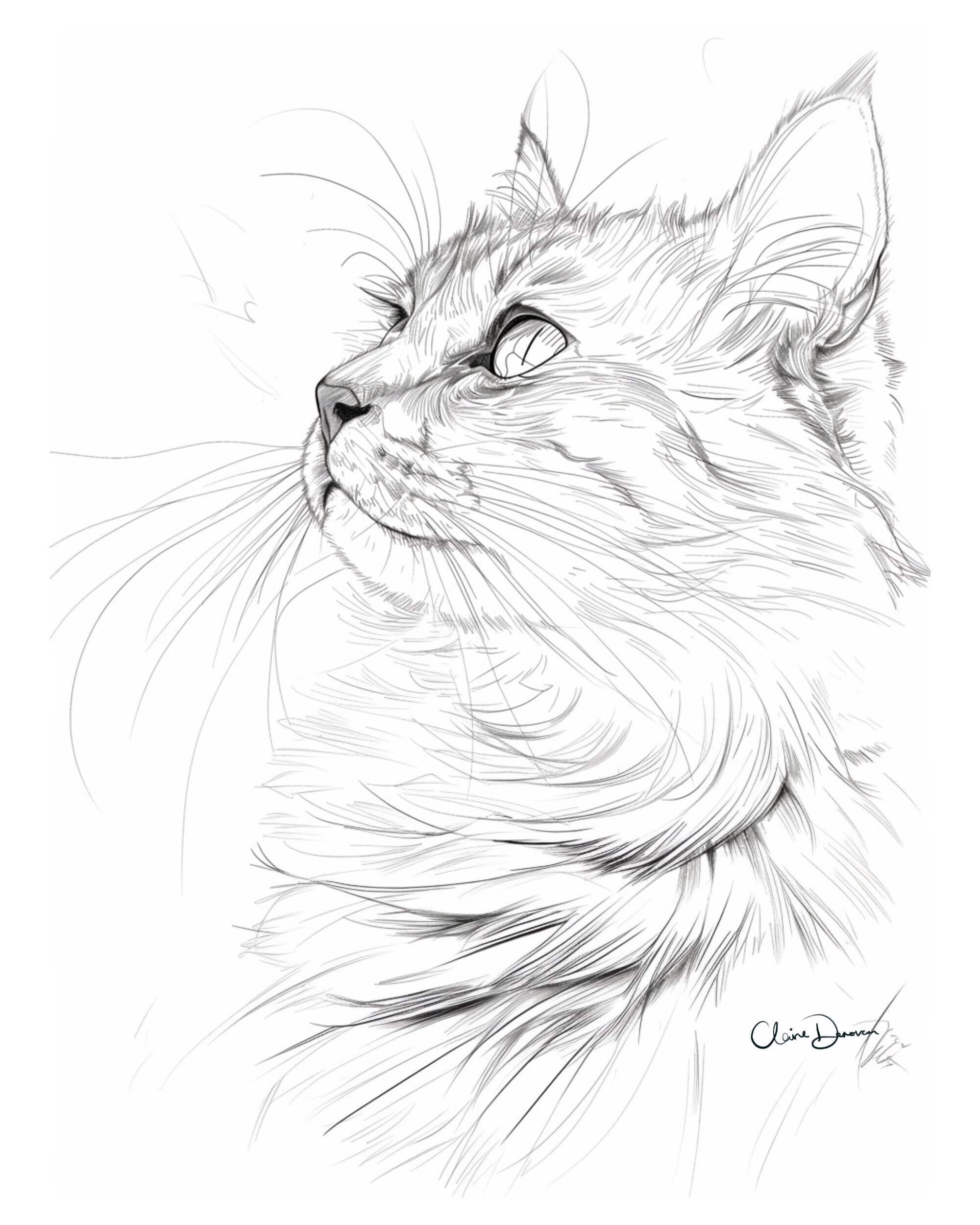 Ink & Soul line pet portrait by Claire Donovan Art
