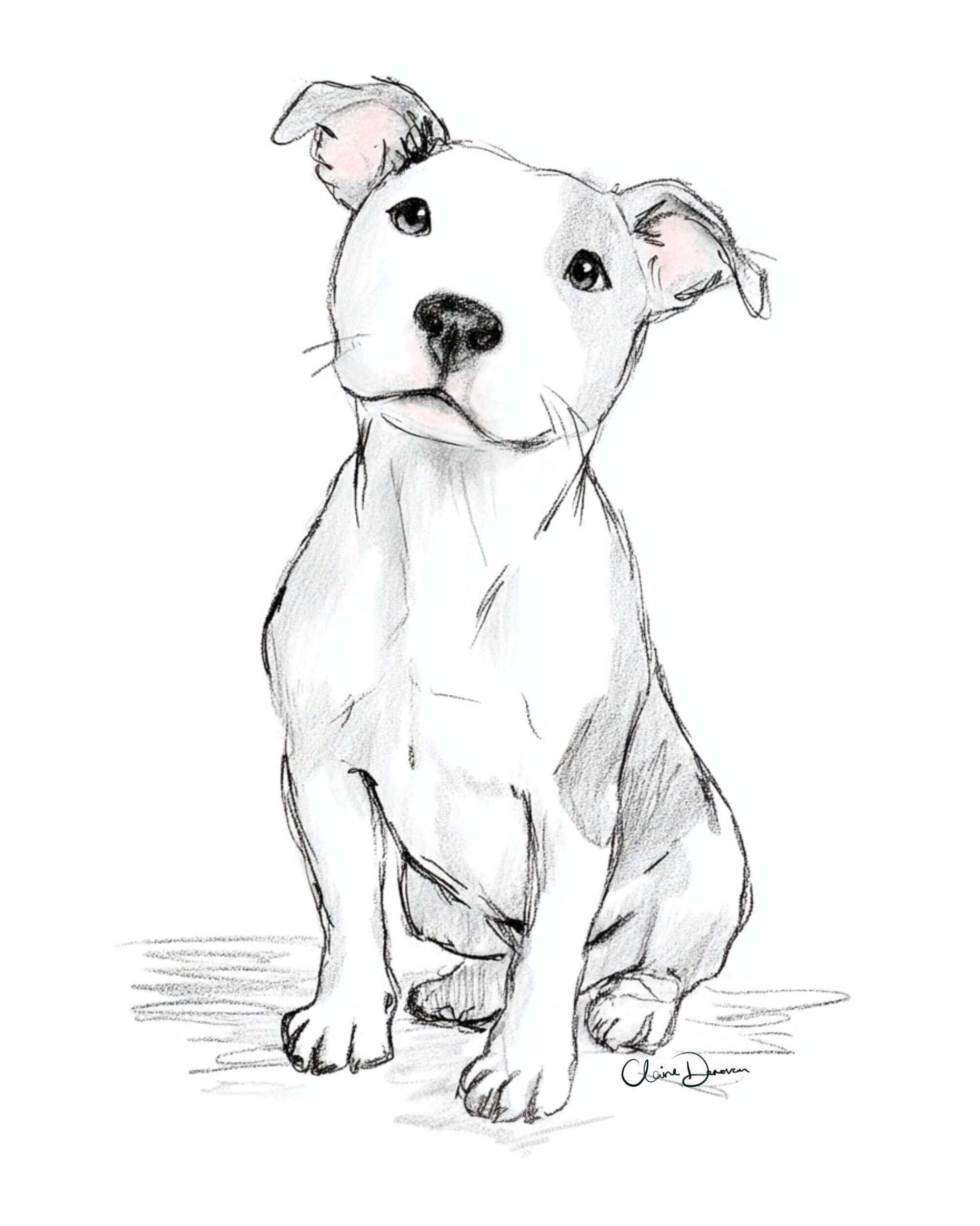 Ink & Soul line pet portrait by Claire Donovan Art