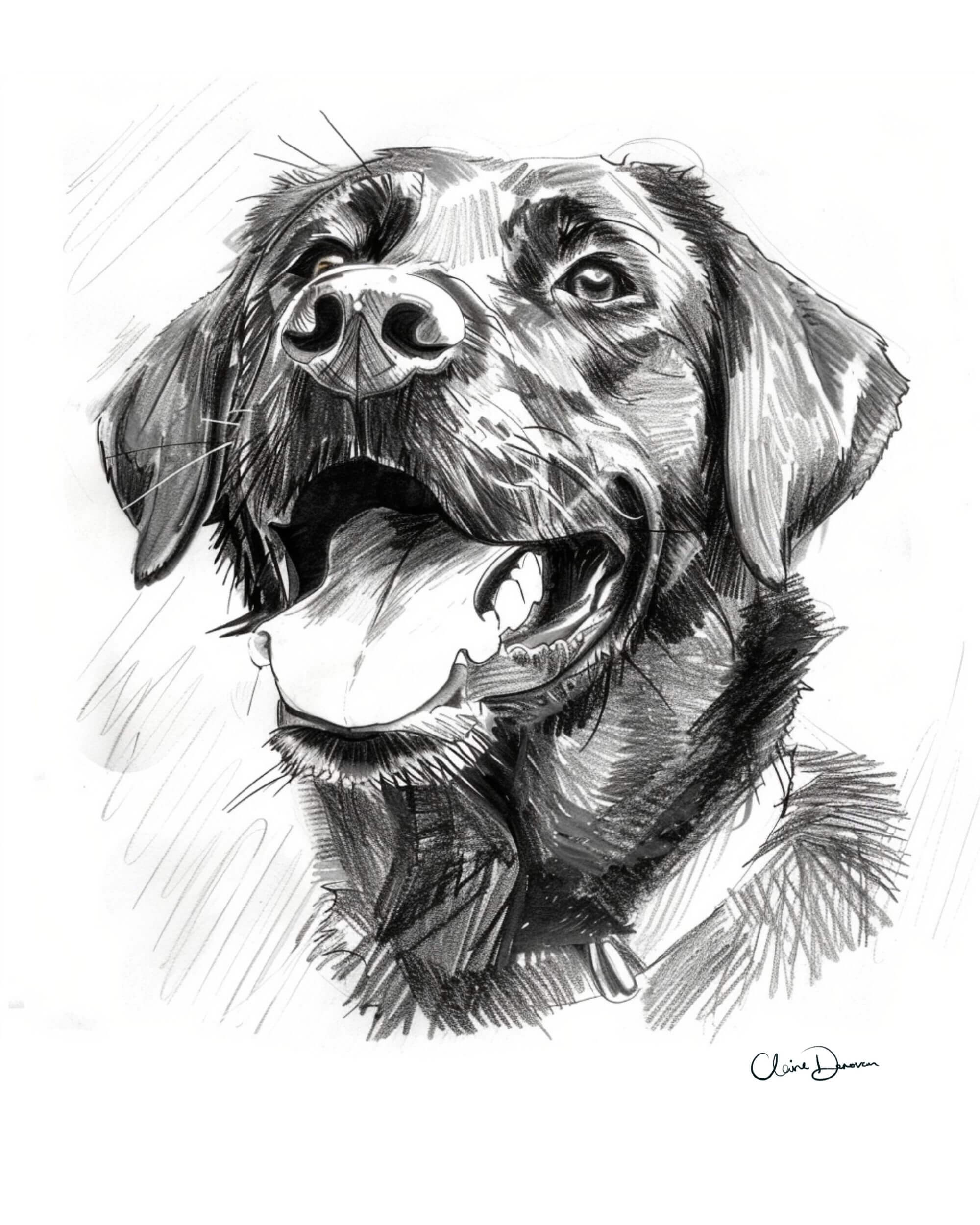 Ink & Soul line pet portrait by Claire Donovan Art