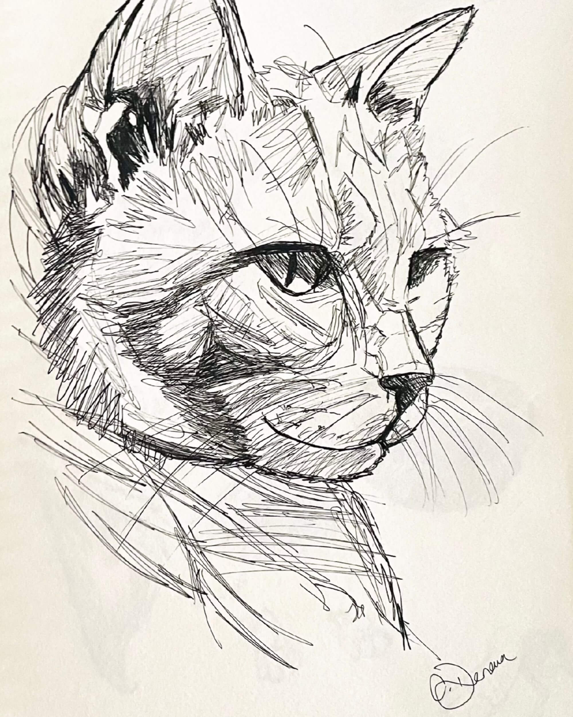 Ink & Soul line pet portrait by Claire Donovan Art