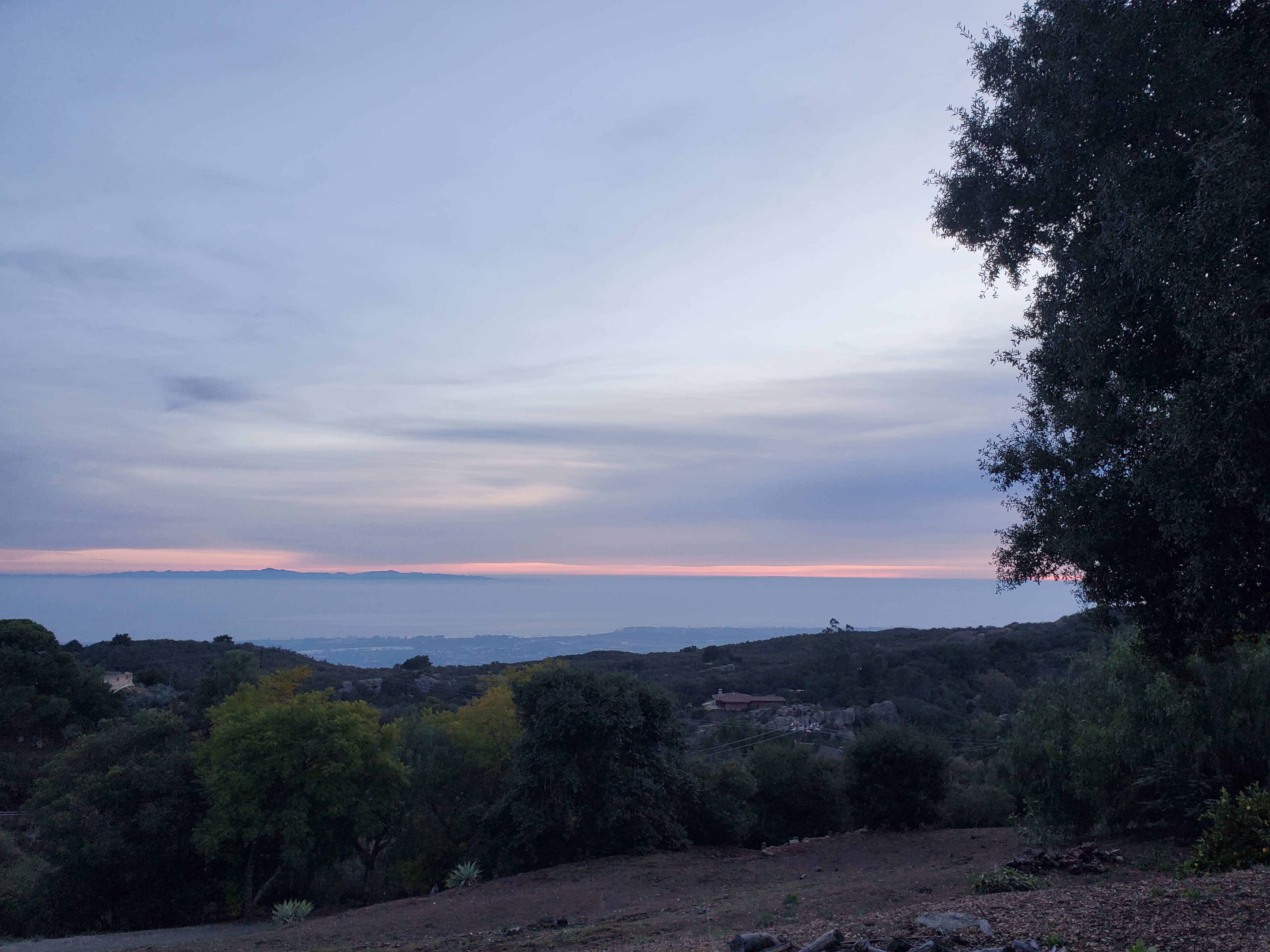 My view from the little bungalow I rented in the hills above Santa Barbara, CA.  The sun is setting, the sky is blue and pink.  A large oak tree is in the foreground, and in the background is the Pacific Ocean and some of the smaller islands off of the California coast.