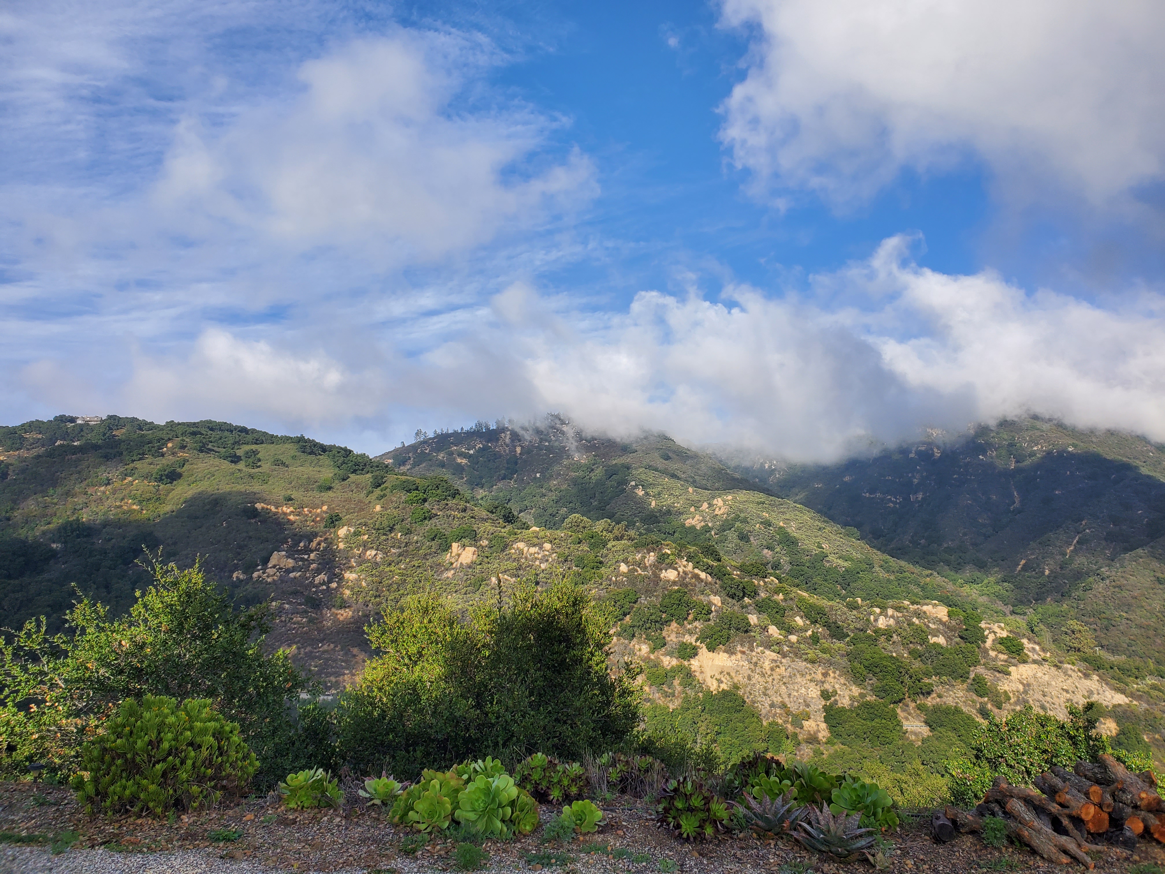 Picture of the foothills above Santa Barbara, CA.  There are succulents in the foreground and blue sky and white clouds in the distance.