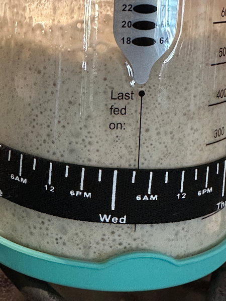 sourdough, sourdough living, rye starter, starter, sourdough starter, active starter, ready to bake sourdough, sourdough living, rye starter, starter, sourdough starter, active starter, ready to bake