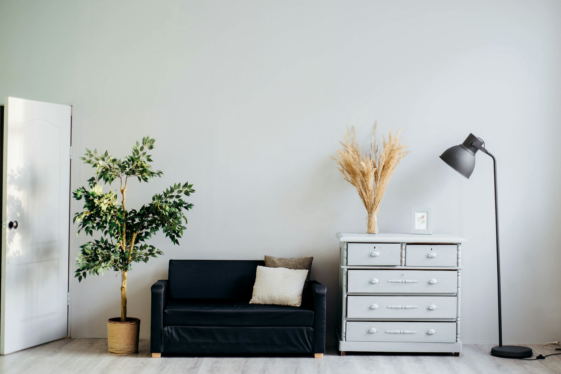Creating the Perfect Accent Wall