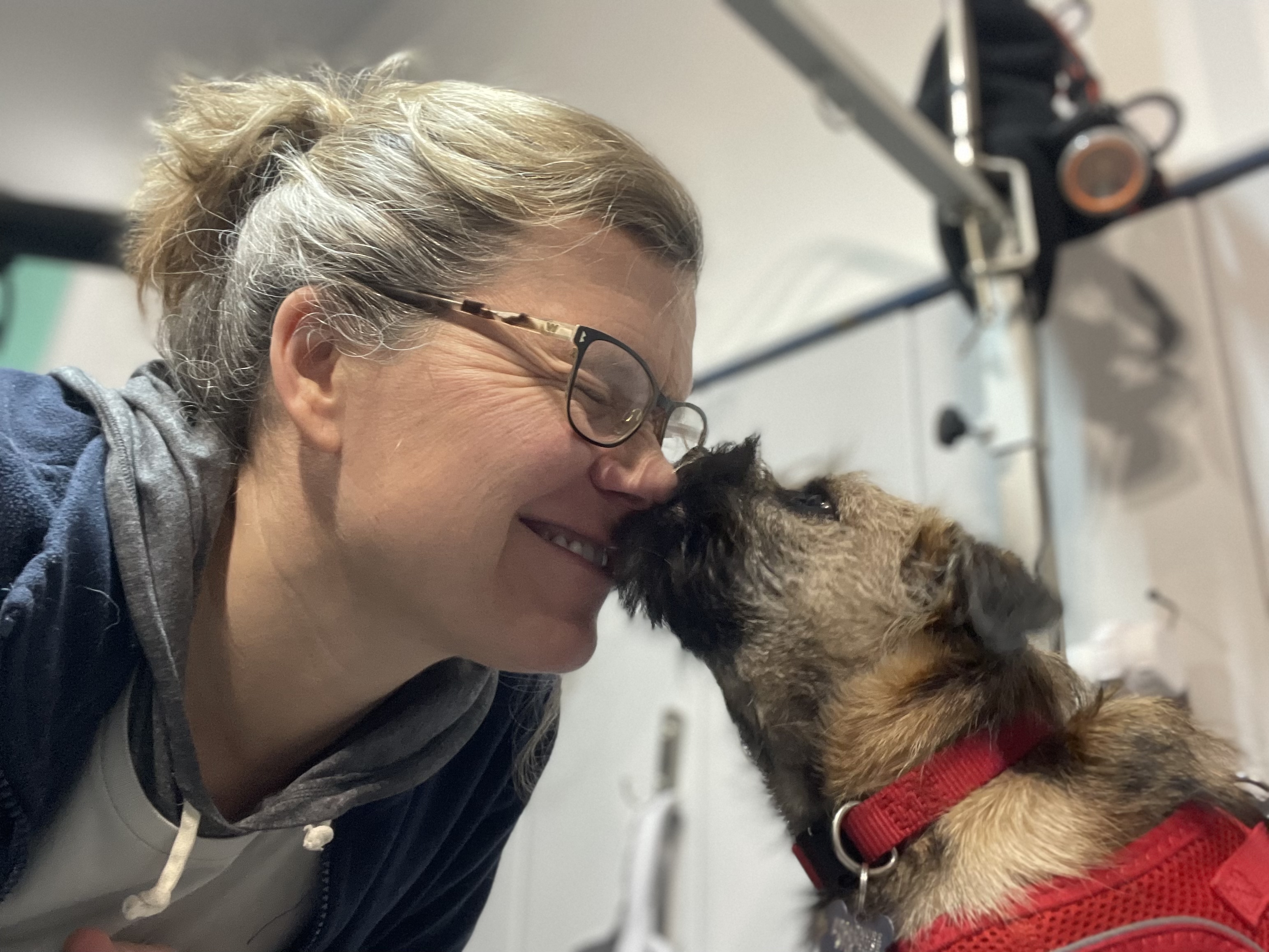 victoria with dog client kissing her victoria with dog client kissing her
