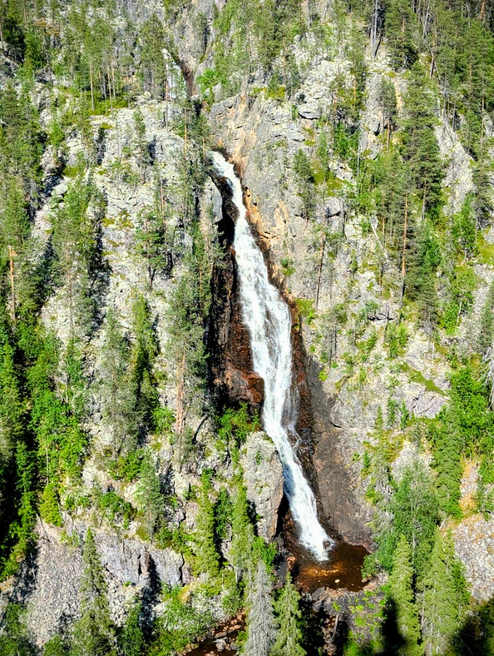 Muddus National Park Muddus National Park
