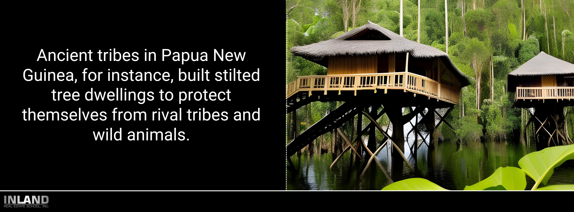 Ancient stilted tree dwellings in Papua New Guinea, showcasing the functional origins of treehouses.