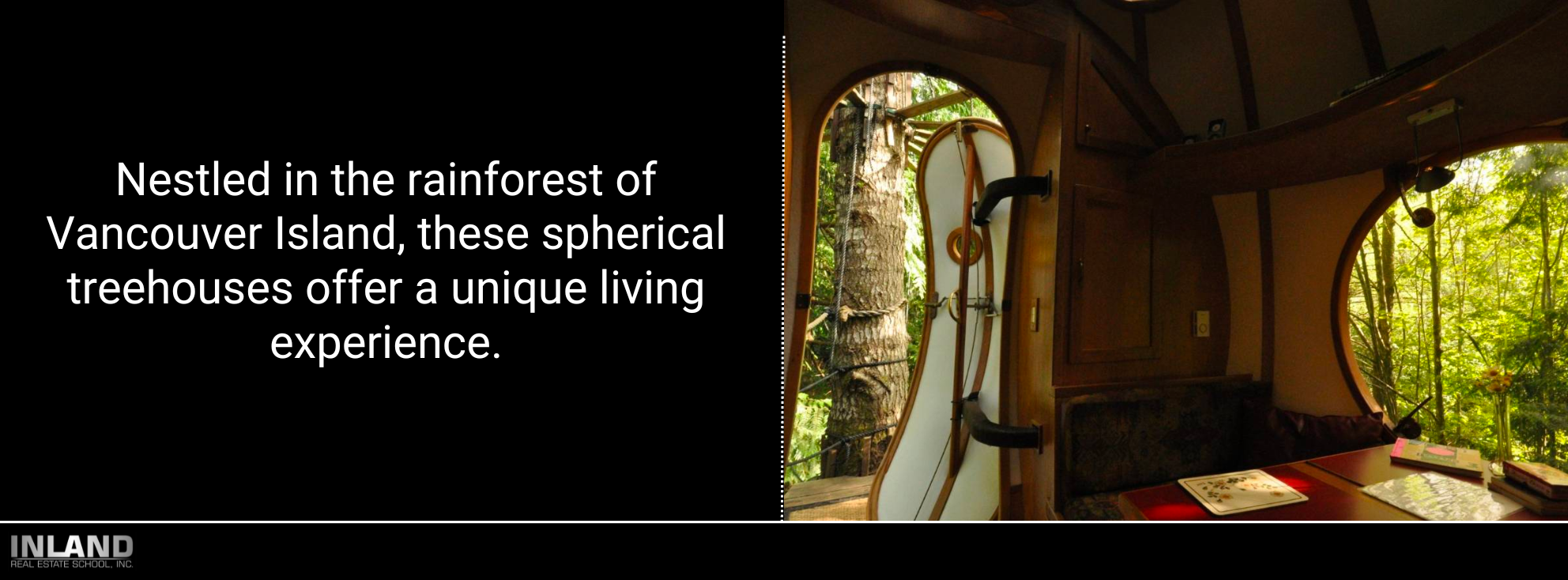 Spherical treehouses suspended in the rainforest of Vancouver Island, offering an immersive nature experience.