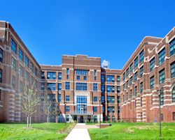 Main Image