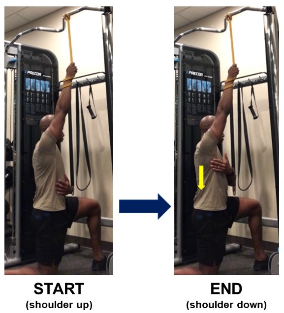 shoulder exercise shoulder exercise