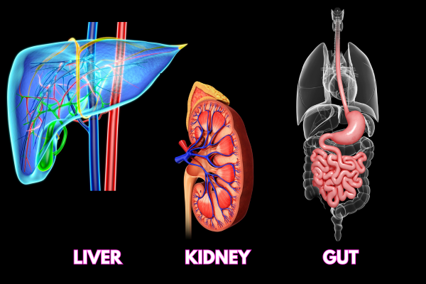 How your body naturally detoxifies itself