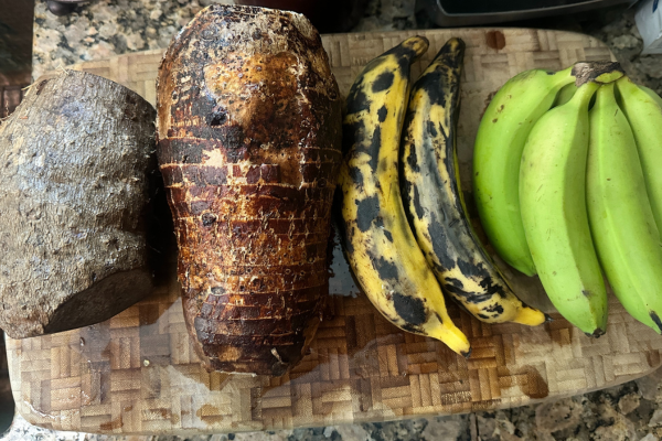 yam, malanga, plantain and green banana