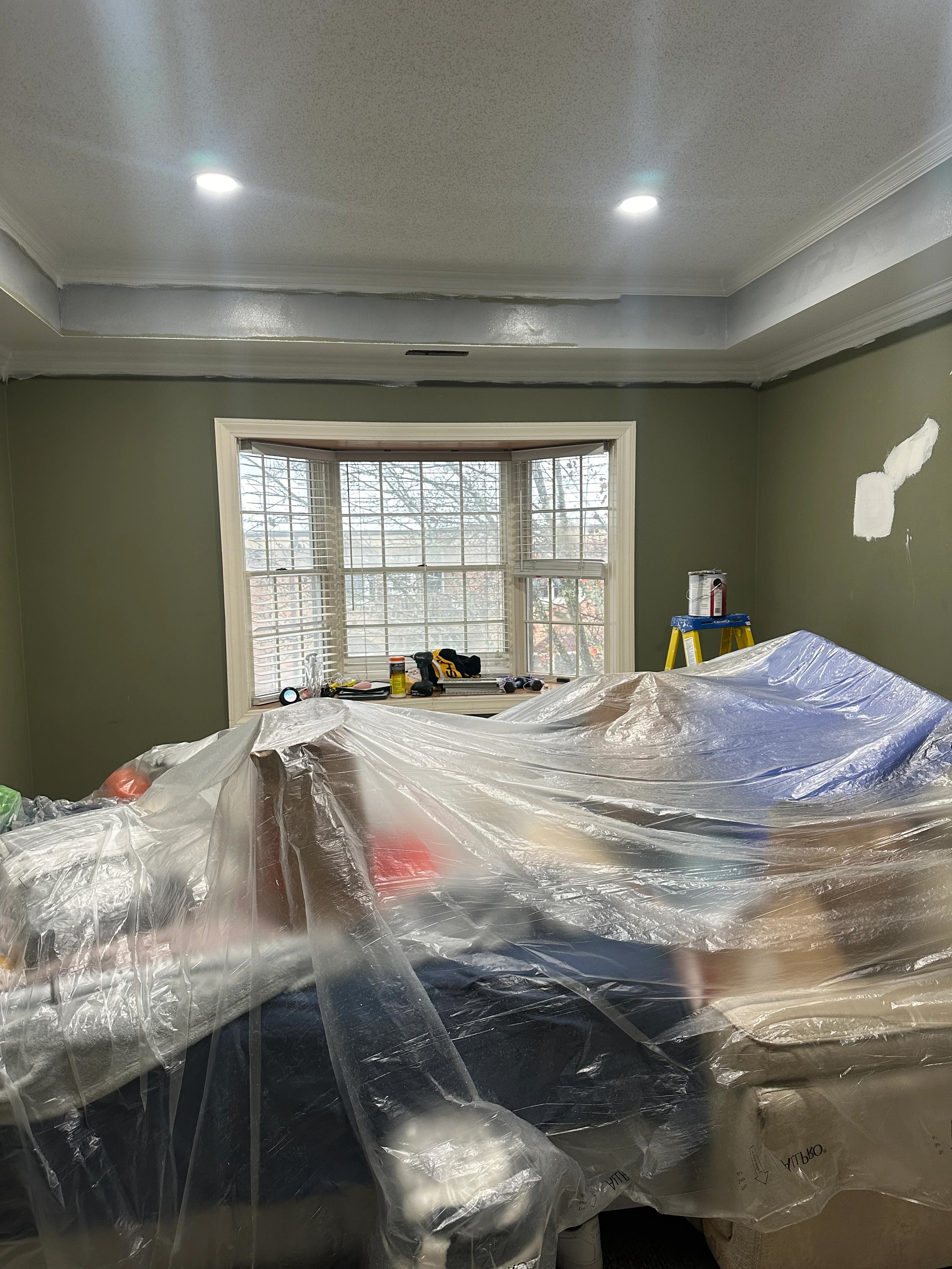 Painting by L Pro Painter and Carpenter