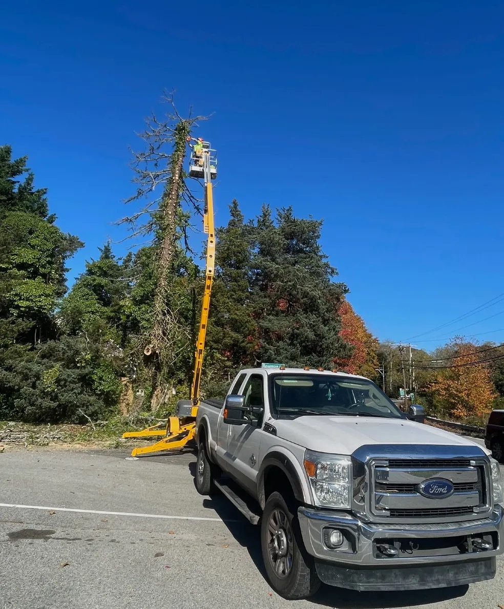 Bucket truck clearing limbs above a driveway