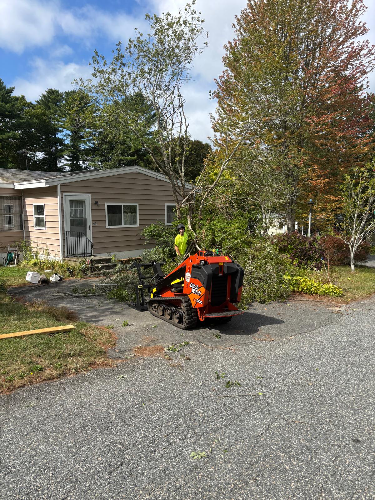 Tidy woodchip cleanup after removal