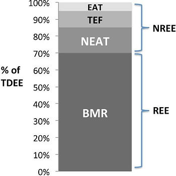 Energy Balance