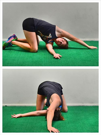 Definition and explanation of range of motion (ROM) Definition and explanation of range of motion (ROM)