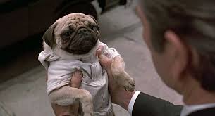 frank the dog from Men in Black
