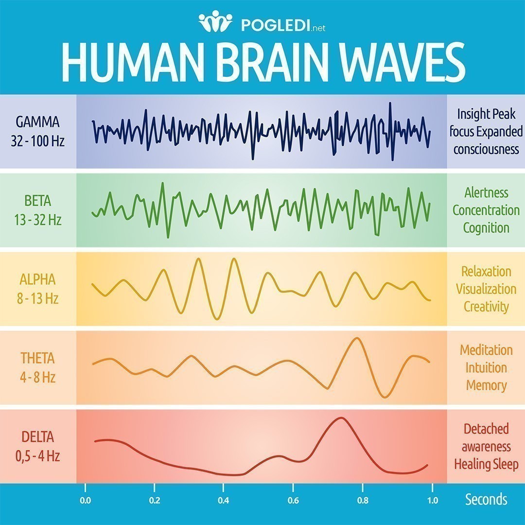 image of a chart showing the human brain wave patterns