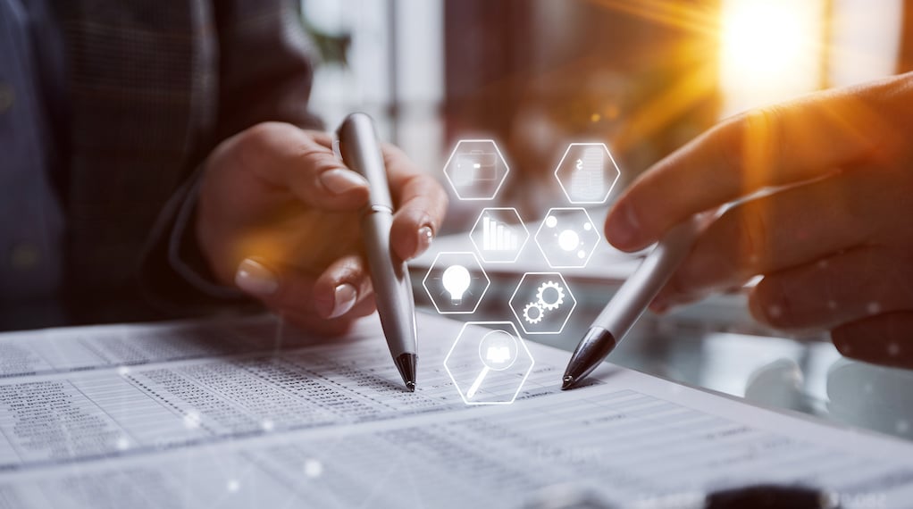 portfolio audit