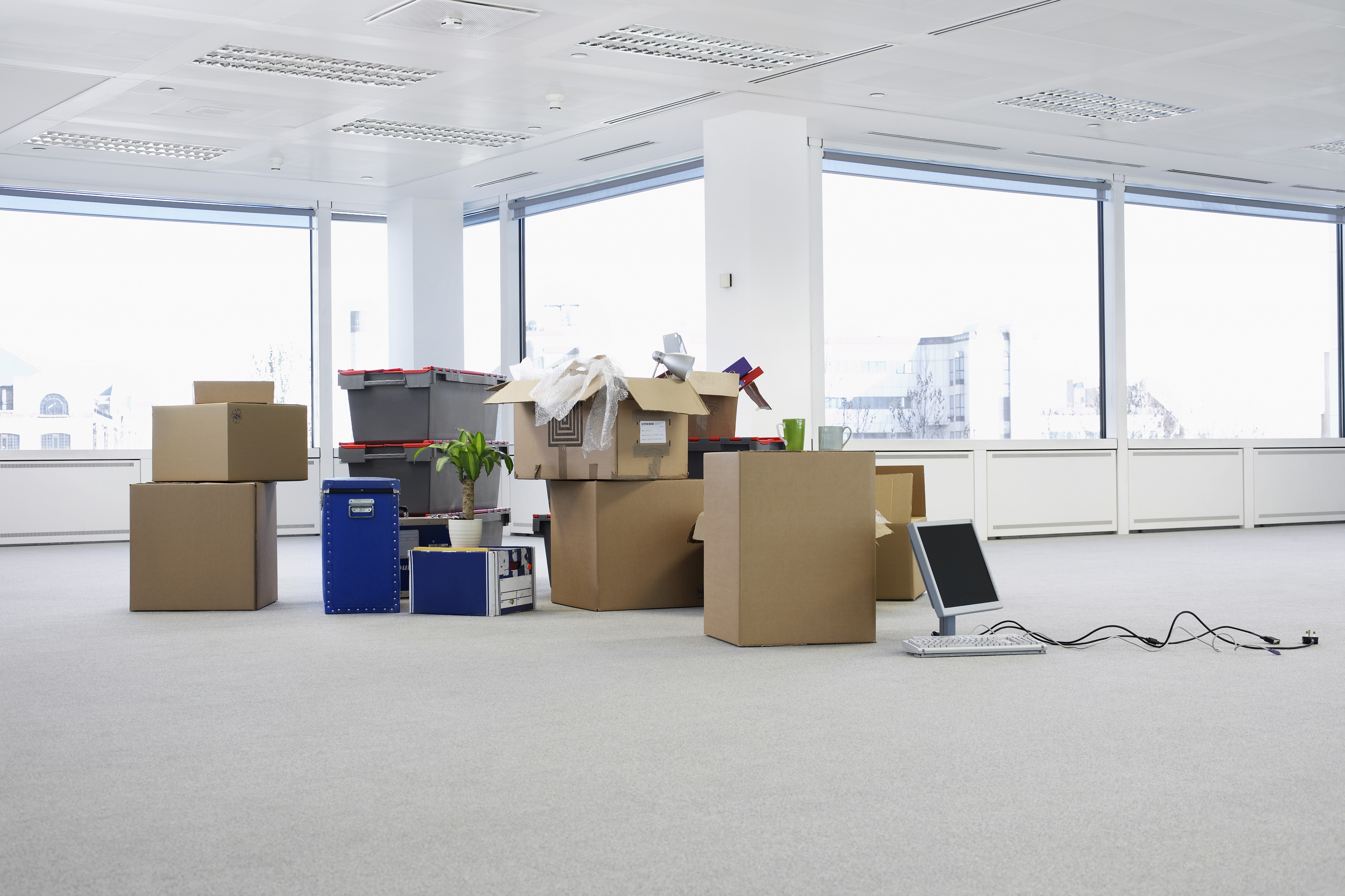 boxes office