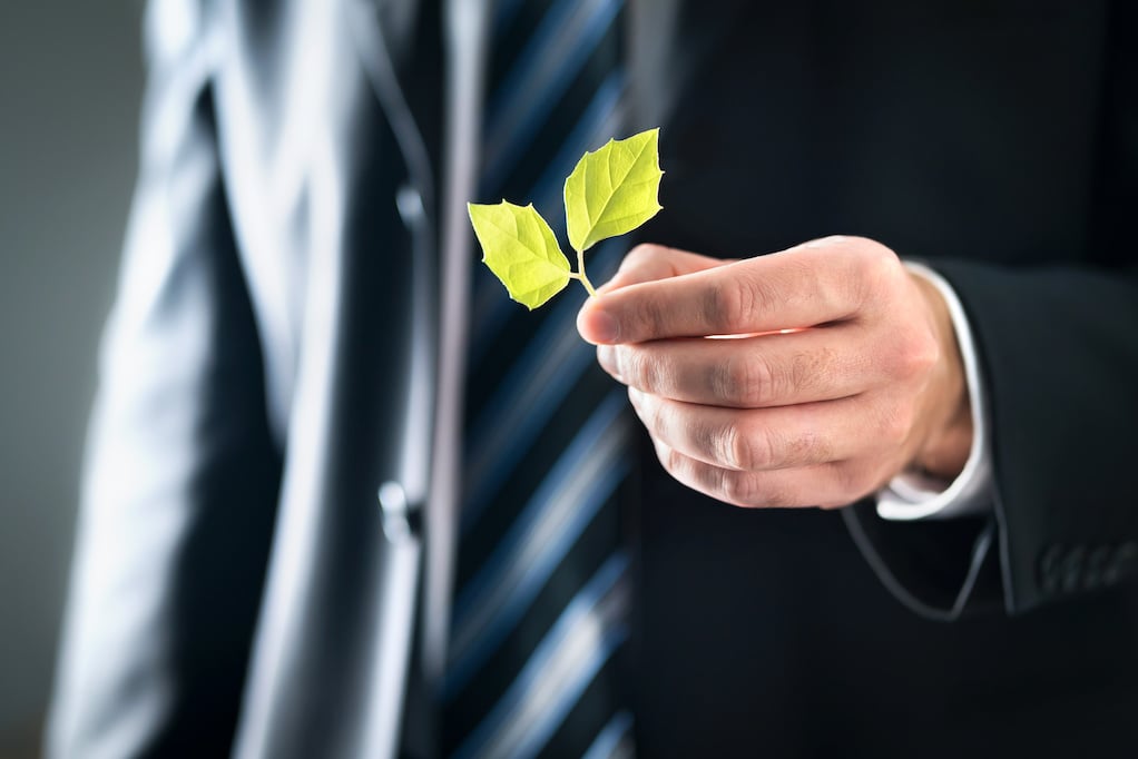 green business standards