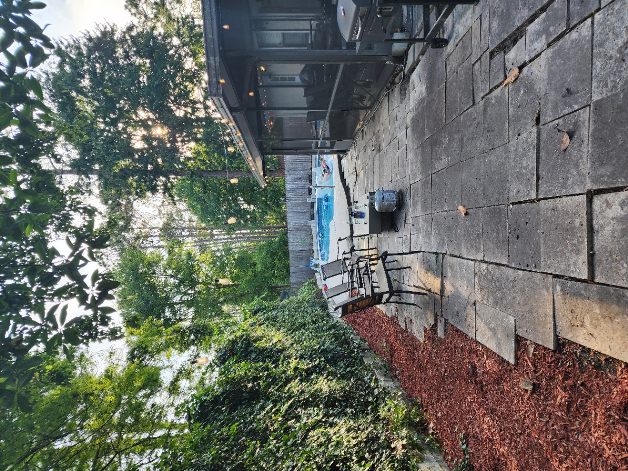 Cleaned Up Backyard Cleaned Up Backyard