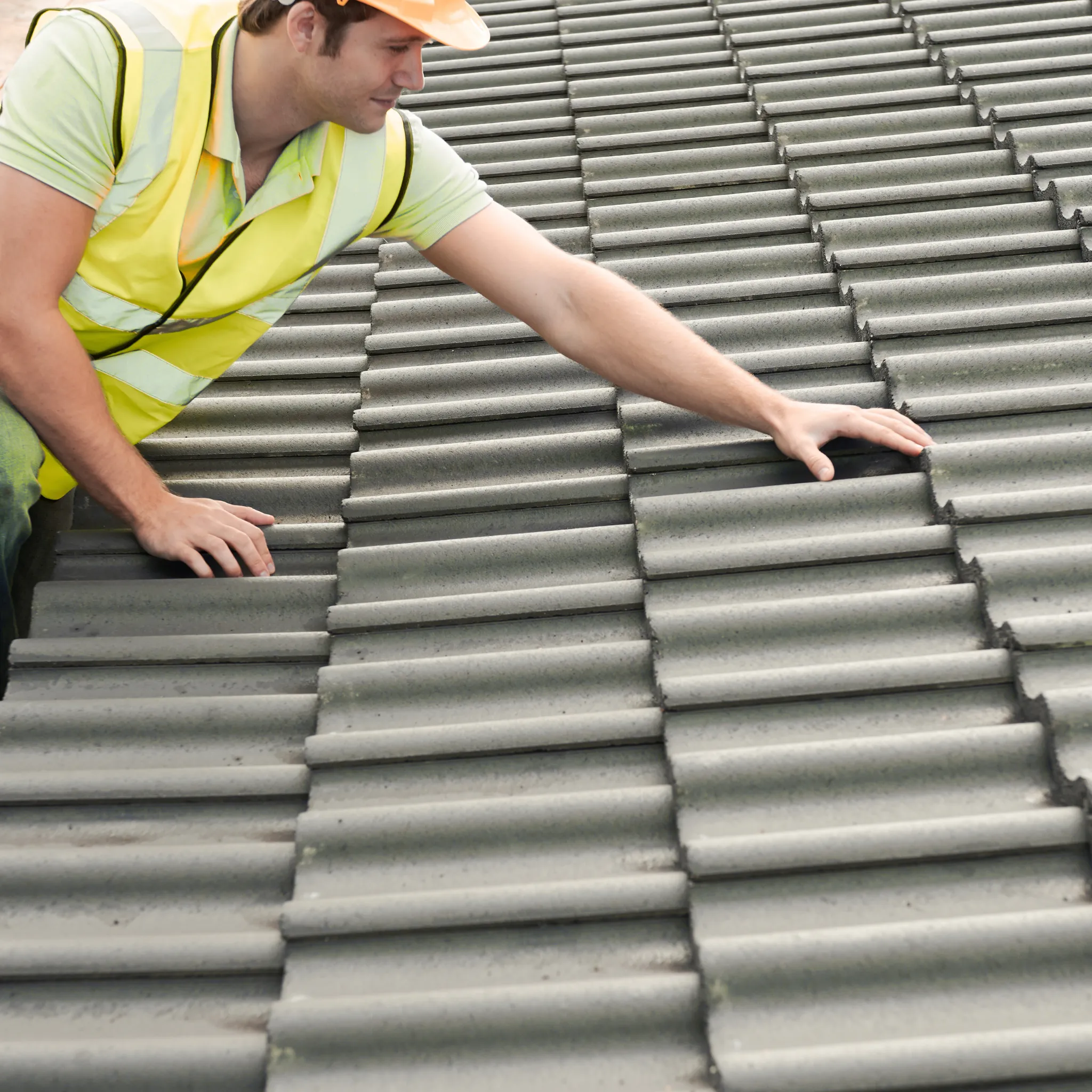 A team of professionals performing a full roof replacement.