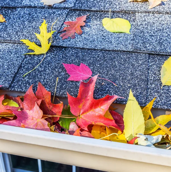 common-issues-with-roofing