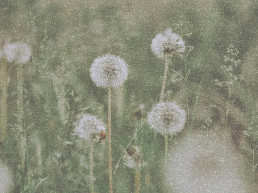 How My Summer Brought Me Back to What's Most Important: A Lesson on VALUES