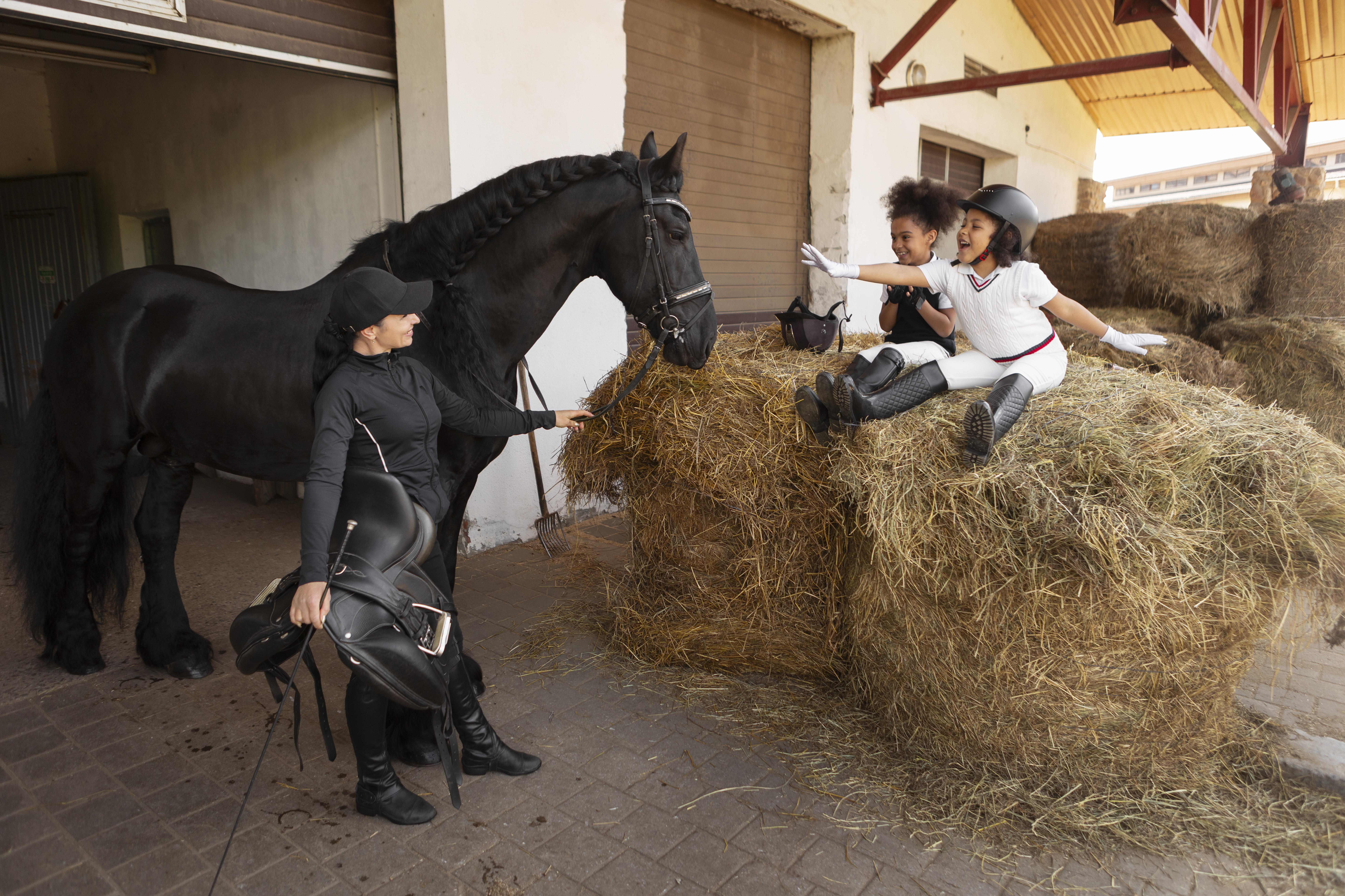 Equestrian Lessons