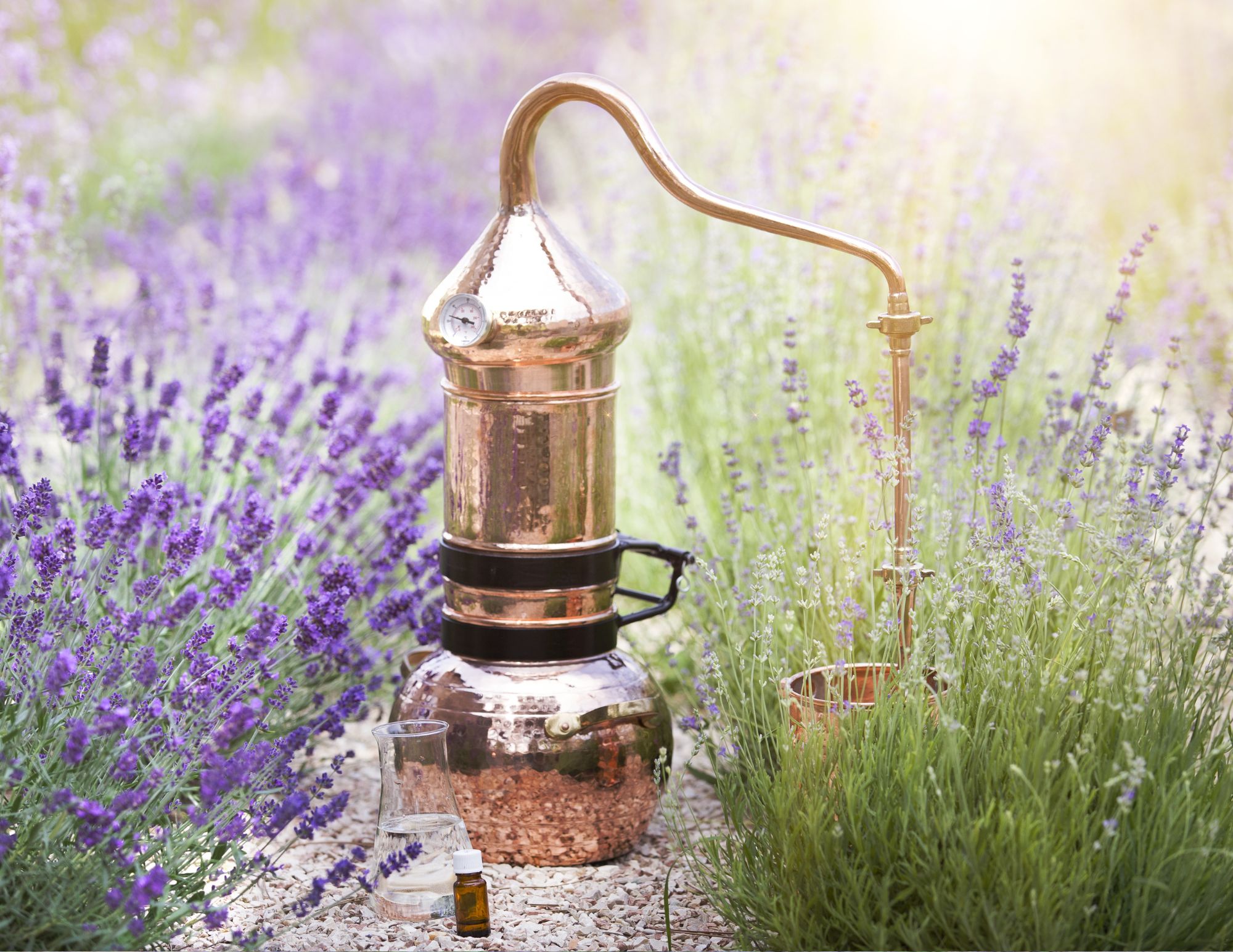 essential oil still