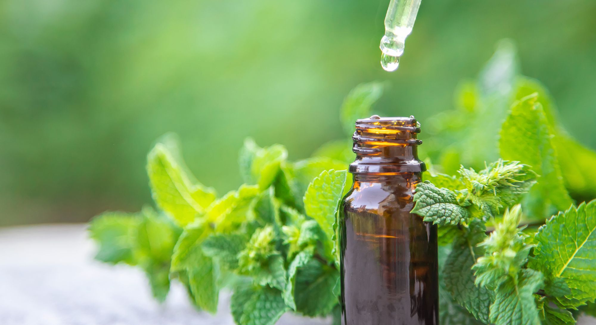 peppermint essential oil
