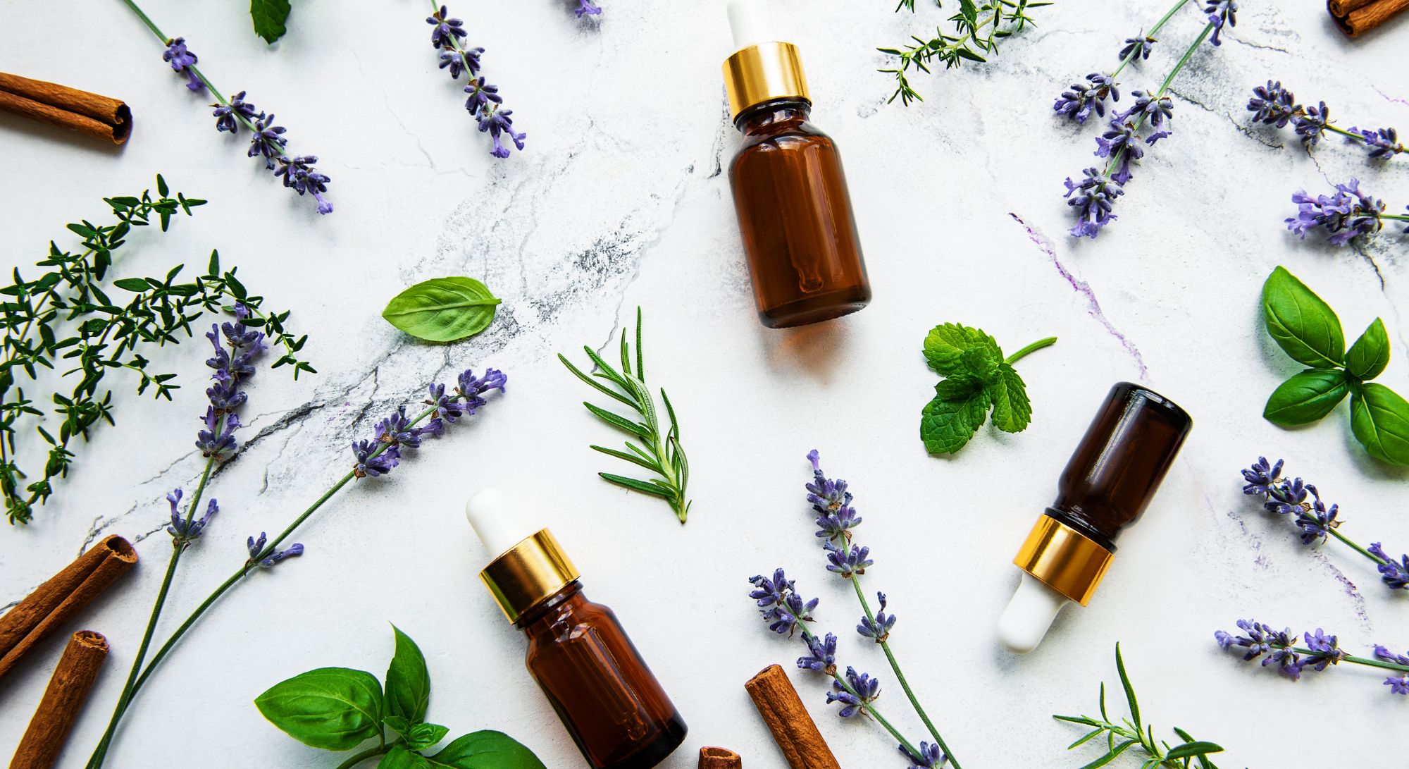 bottles of essential oils and herbs