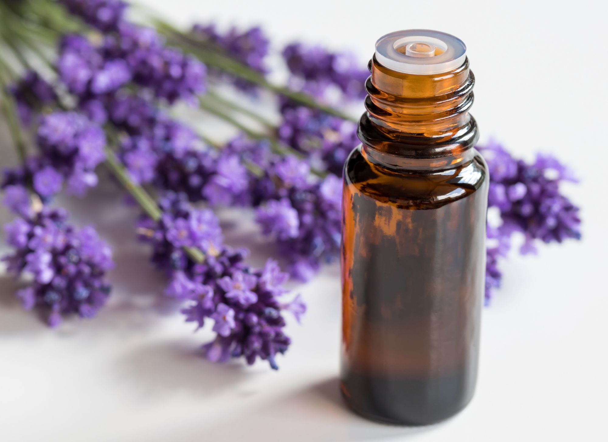 lavender essential oil