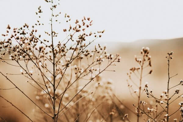 The Transformative Power of Progressive Muscle Relaxation