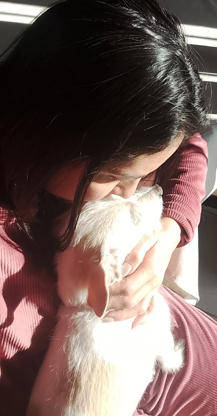 ¿Vitamina D o depresión? Cuando el cuerpo también habla