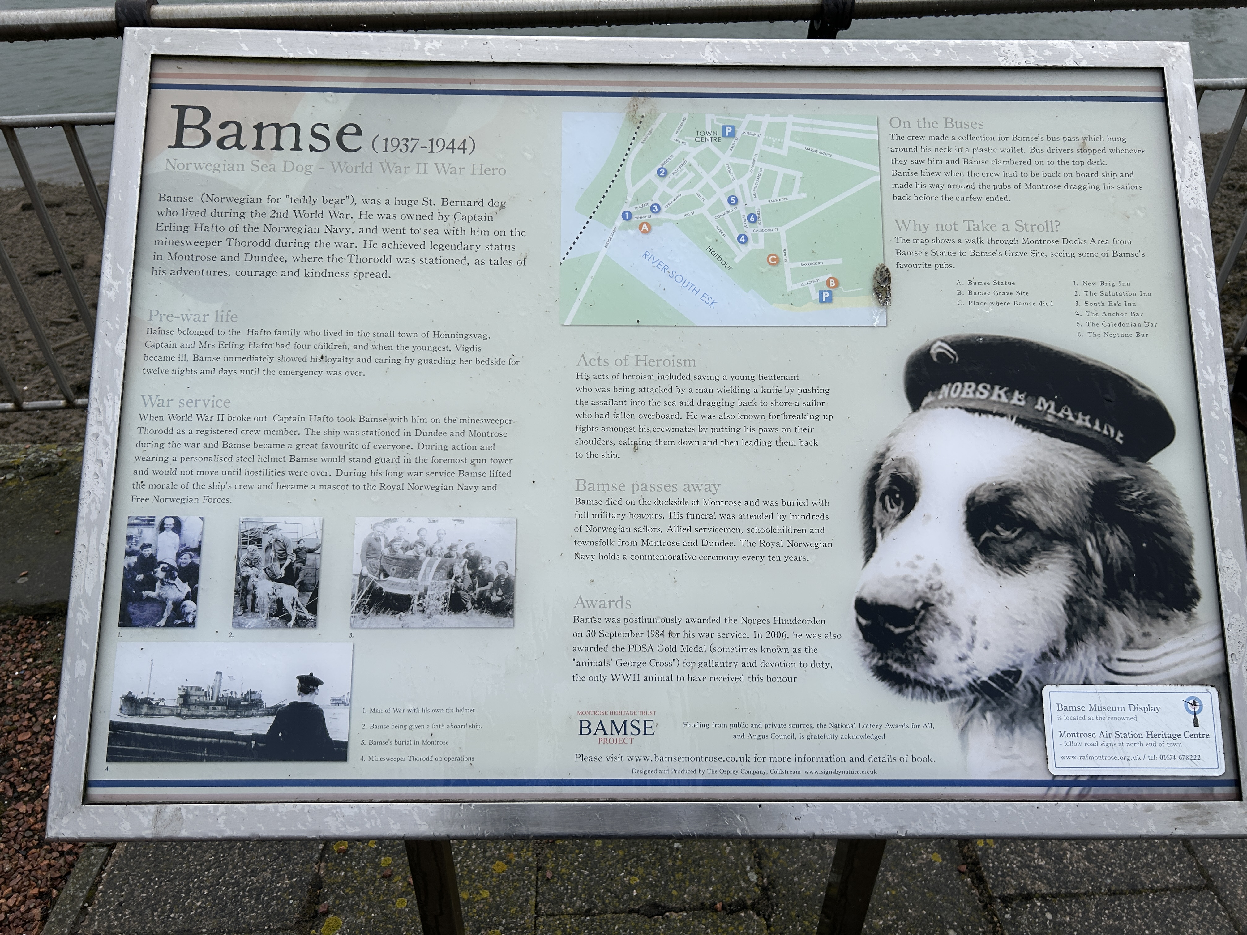 Bamse Dog Plaque 