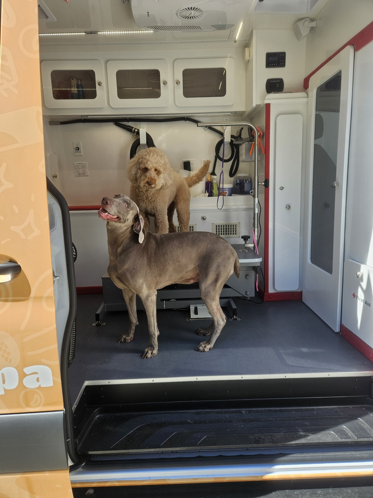 Dog on mobile grooming Dog on mobile grooming